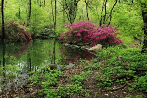 New York stad: Rundvandring i Central Park