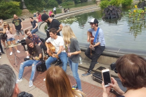 Central Park: tour a pie por el parque