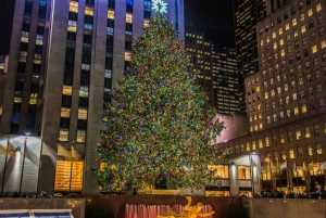 New York: vacanze di Natale con tour di Manhattan