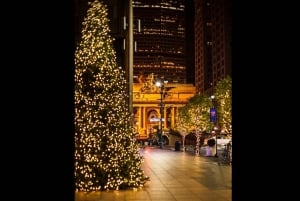 NYC: Weihnachtsspecial Film und Hotspots Pedicab Tour