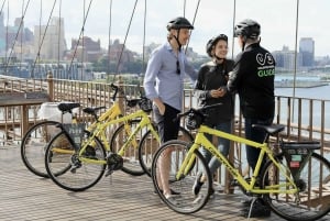 New York City: City Highlights Guided Bike Tour