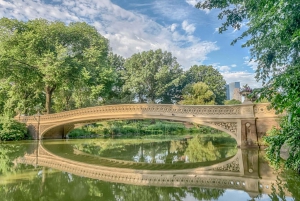 New York City: klassieke rondleiding per fietstaxi door Central Park