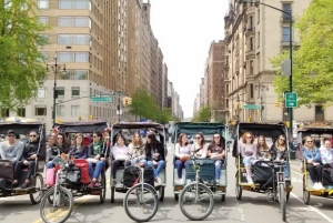 Nova Iorque: Visita guiada de Pedicab ao Central Park clássico