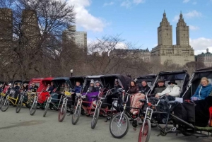 Ciudad de Nueva York: Clásico recorrido guiado en bicitaxi por Central Park