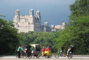 Cidade de Nova York: passeio de pedicab de luxo de 1,5 horas no Central Park