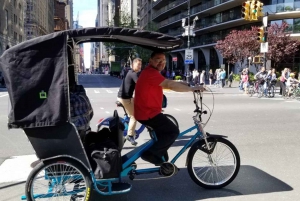 Cidade de Nova York: passeio de pedicab de luxo de 1,5 horas no Central Park