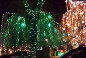 Ciudad de Nueva York: Recorrido por las luces de Navidad de Dyker Heights