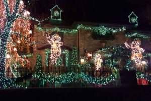 Ciudad de Nueva York: Recorrido por las luces de Navidad de Dyker Heights