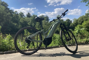 NYC: E-bikeverhuur in Central Park