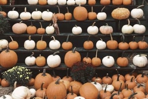 New York City : Ranskalainen Halloween-kierros Greenwich Villagessa