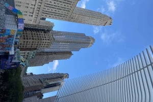 Cidade de Nova York: Passeio a pé pelo sul francês de Manhattan