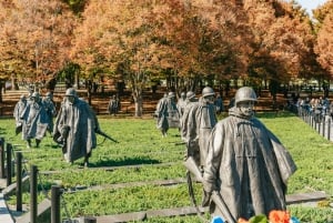 Ciudad de Nueva York: Visita de un día completo a lo más destacado de la ciudad de Washington DC