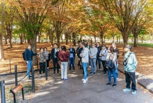 New York City: Tour di un giorno intero dei punti salienti della città di Washington DC