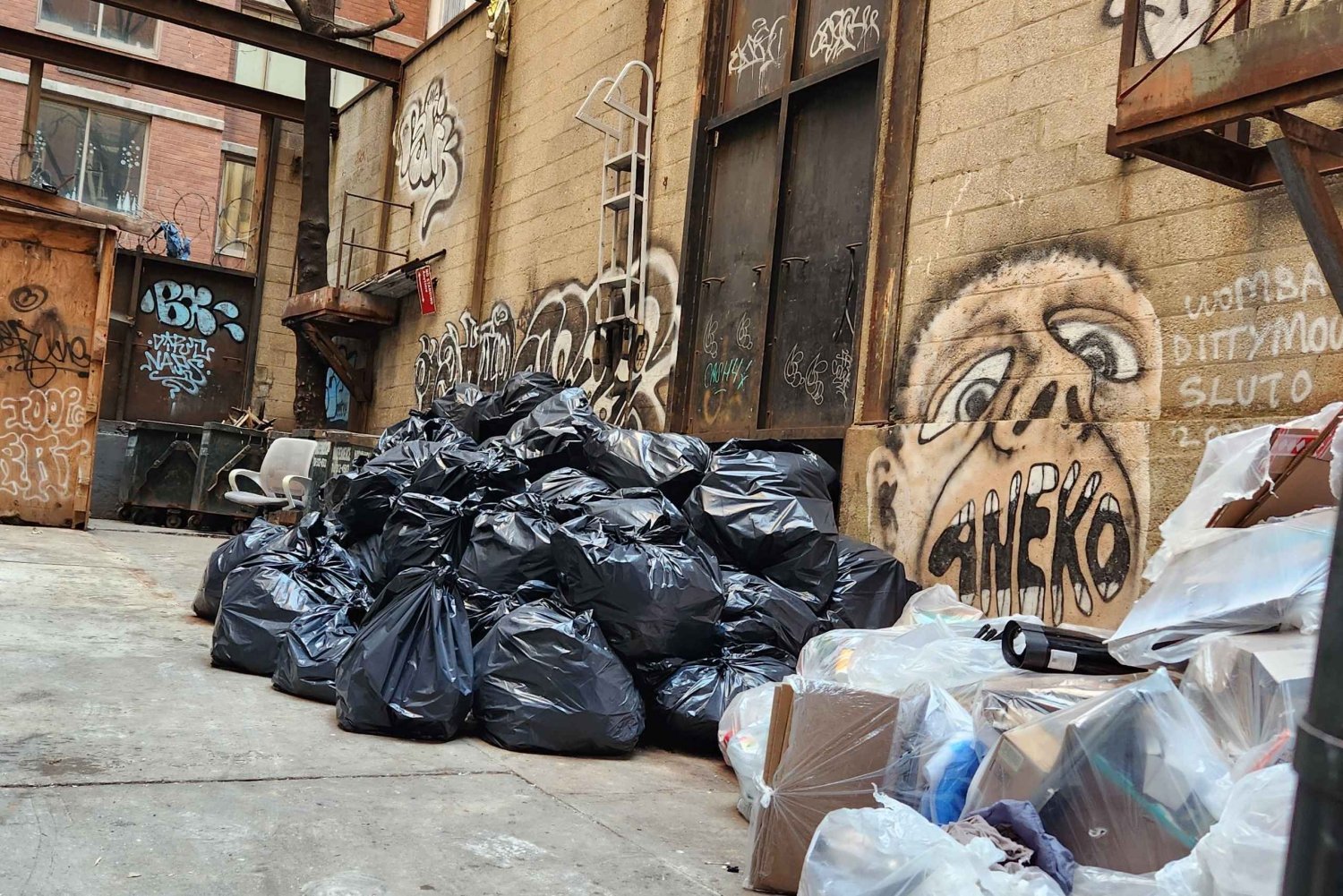 New York City: Garbage and Rats Walking Tour
