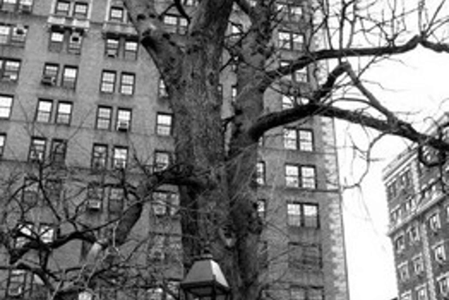 Cidade de Nova York: Ghost Walk e Tour Paranormal