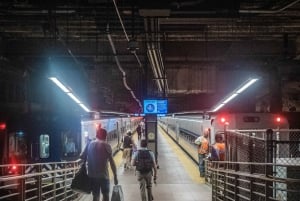 New York City: Central Station Opastettu kierros