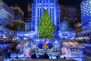 New York City: Tour guidato in Pedicab privato delle luci di Natale