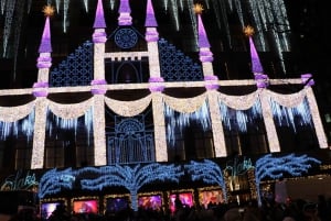 New York: Rondleiding door kerstverlichting in een privé fietstaxi