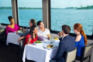 New York : croisière dans le port avec buffet brunch depuis le quai 15