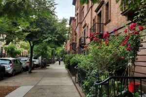 Ciudad de Nueva York : Harlem Walking Tour Con Guía