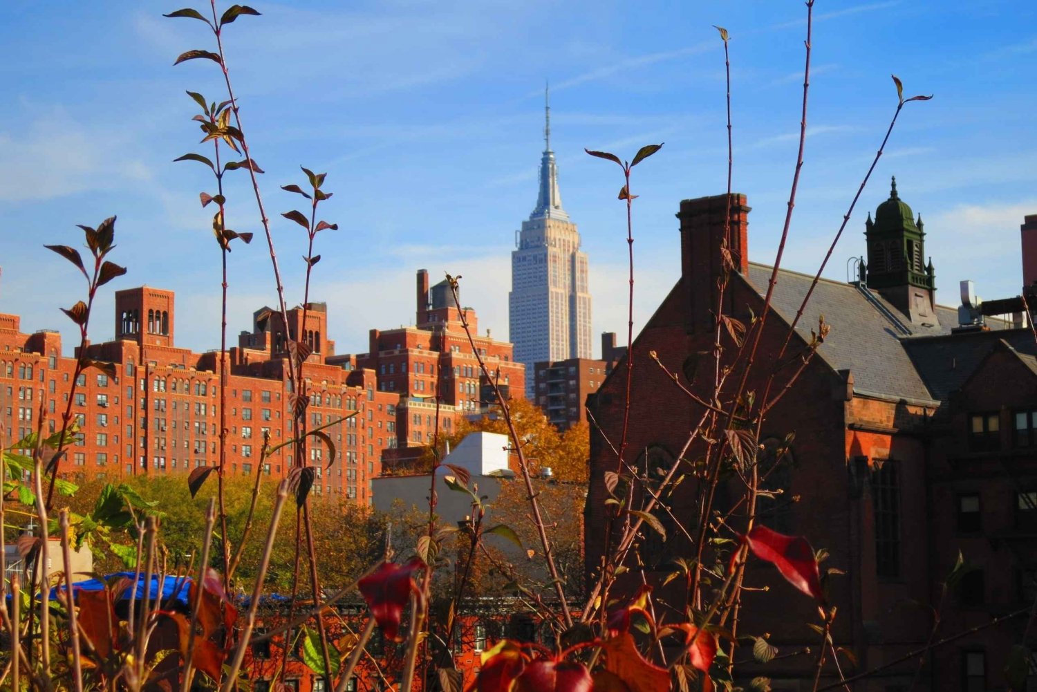 The-High-Line-An-Urban-Oasis-with-Fall-Charm