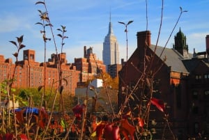 Nowy Jork: Wycieczka piesza High Line
