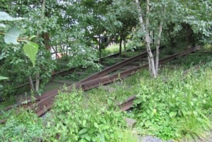 Nowy Jork: Wycieczka piesza High Line