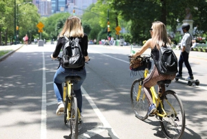 New York City: Puiston kohokohdat: Central Park Bike tai eBike Tour