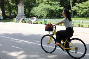 Nowy Jork: Najważniejsze atrakcje wycieczki rowerowej lub eBike po Central Parku