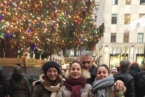 New York : Les points forts de la ville : visite guidée privée à pied