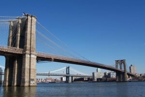 New York - staden: Rundvandring i Lower Manhattans historia