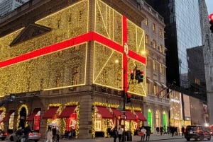 New York City : Holiday Lights Extravaganza Walking Tour