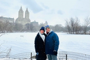 New York - staden: Ensam hemma 2 och Elf Tour i Central Park