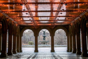 New York City: Home Alone 2 Movie Locations Pedicab Tour