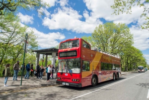 New York City: hop on, hop off-bustour