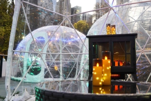 New York City: Ice Skating at Wollman Rink with Skate Rental