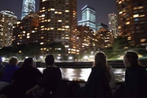 Croisière en goélette dans les lumières de New York