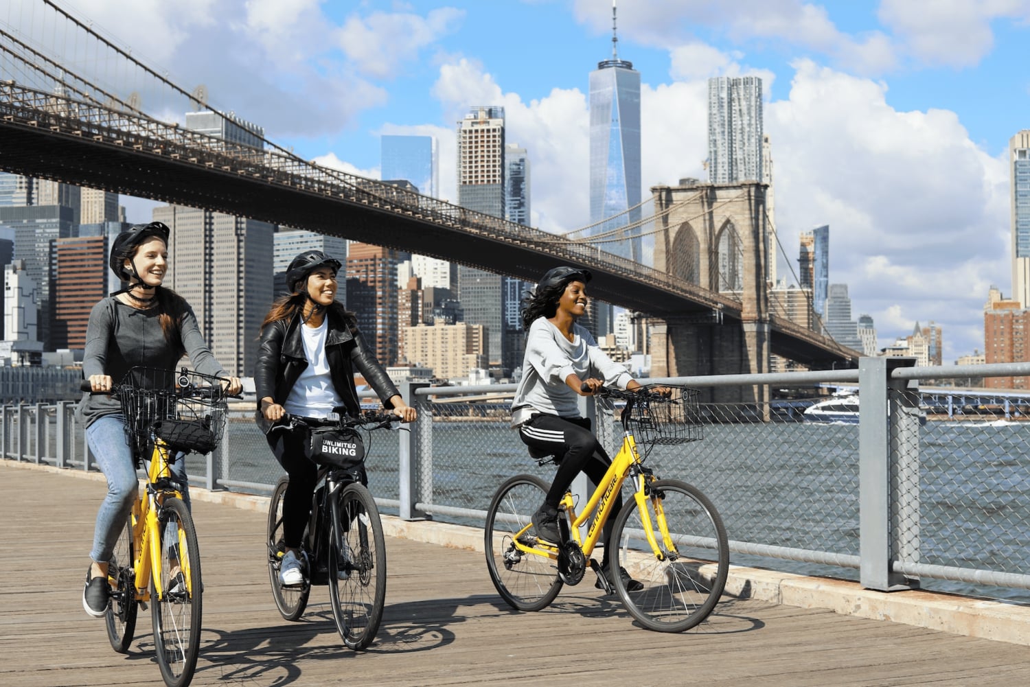 New York City: Lower Manhattan Bike Rentals