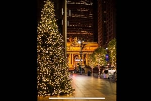 New York City : Tour de Manhattan en pédicab pour les fêtes de fin d'année