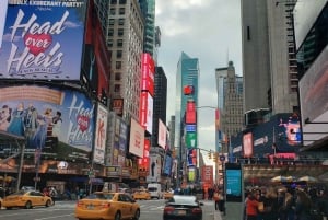 NYC Pedicab turer: Central Park, Times Square, 5th Avenue