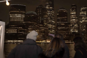 NYC: New Year’s Fireworks Cruise Premium Open Bar, Buffet