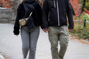 New York City tai Brooklyn: Brooklyn: Valokuvaus ikonisissa paikoissa