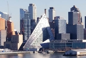 Ciudad de Nueva York: Recorrido panorámico por el horizonte