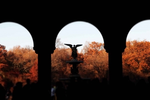 New York: Met de fietstaxi door Central Park
