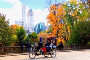 New York: Met de fietstaxi door Central Park