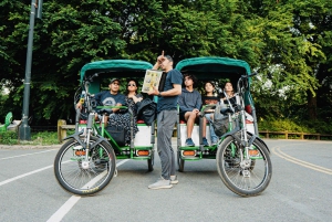 Ciudad de Nueva York: Tour privado en bicitaxi por Central Park