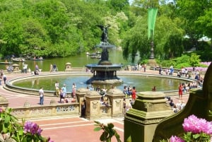 Ciudad de Nueva York: Tour privado en bicitaxi por Central Park