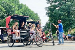 Ciudad de Nueva York: Tour privado en bicitaxi por Central Park