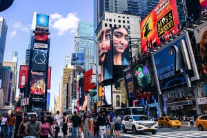 Ciudad de Nueva York: Tour privado de la ciudad