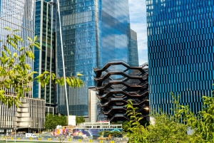 New York City: Privat anpassningsbar tur med guide